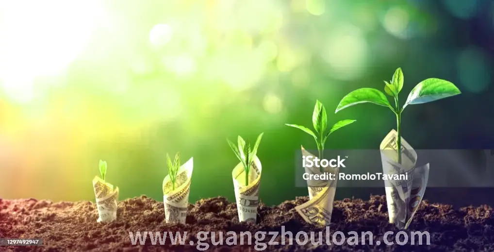 还款指南