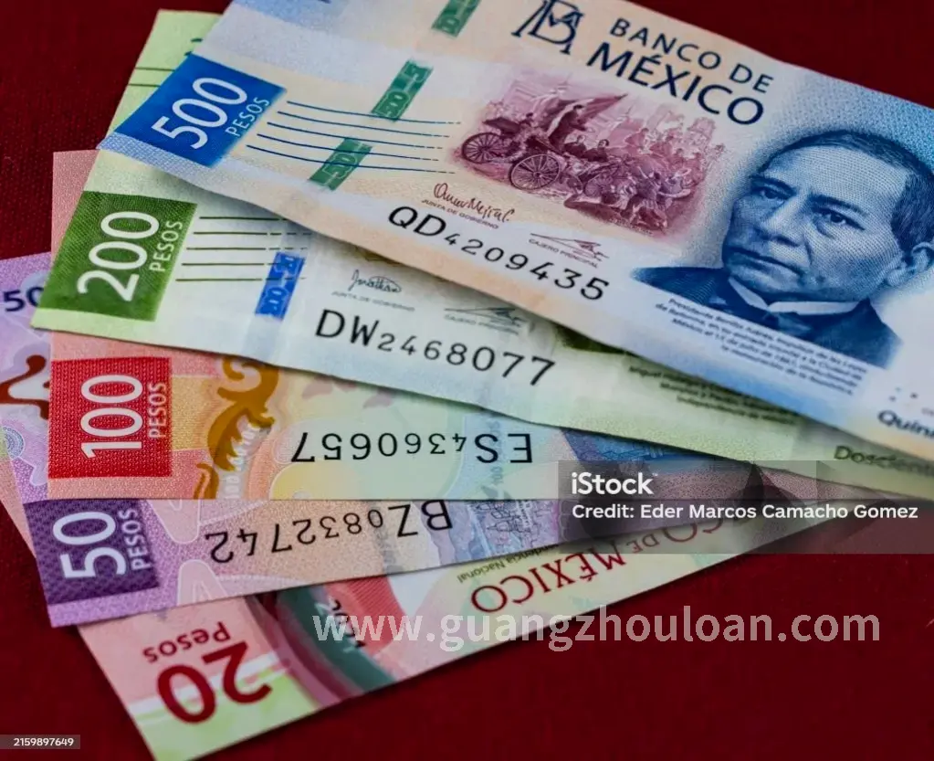 行业专家背书图